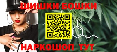2c-b Новозыбков
