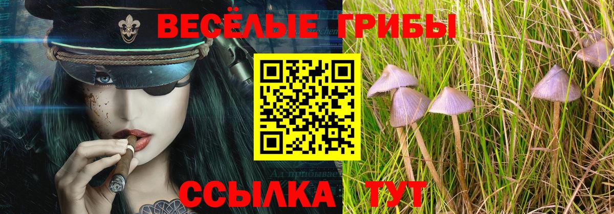 Сергиев Посад  Псилоцибиновые грибы мицелий  Вход с VPN 