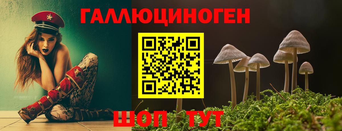 Псилоцибиновые грибы Psilocybe Сергиев Посад
