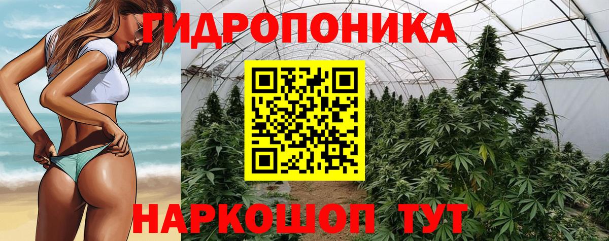 Шишки марихуана Ganja  Вход с VPN  Сергиев Посад  Канабис план 